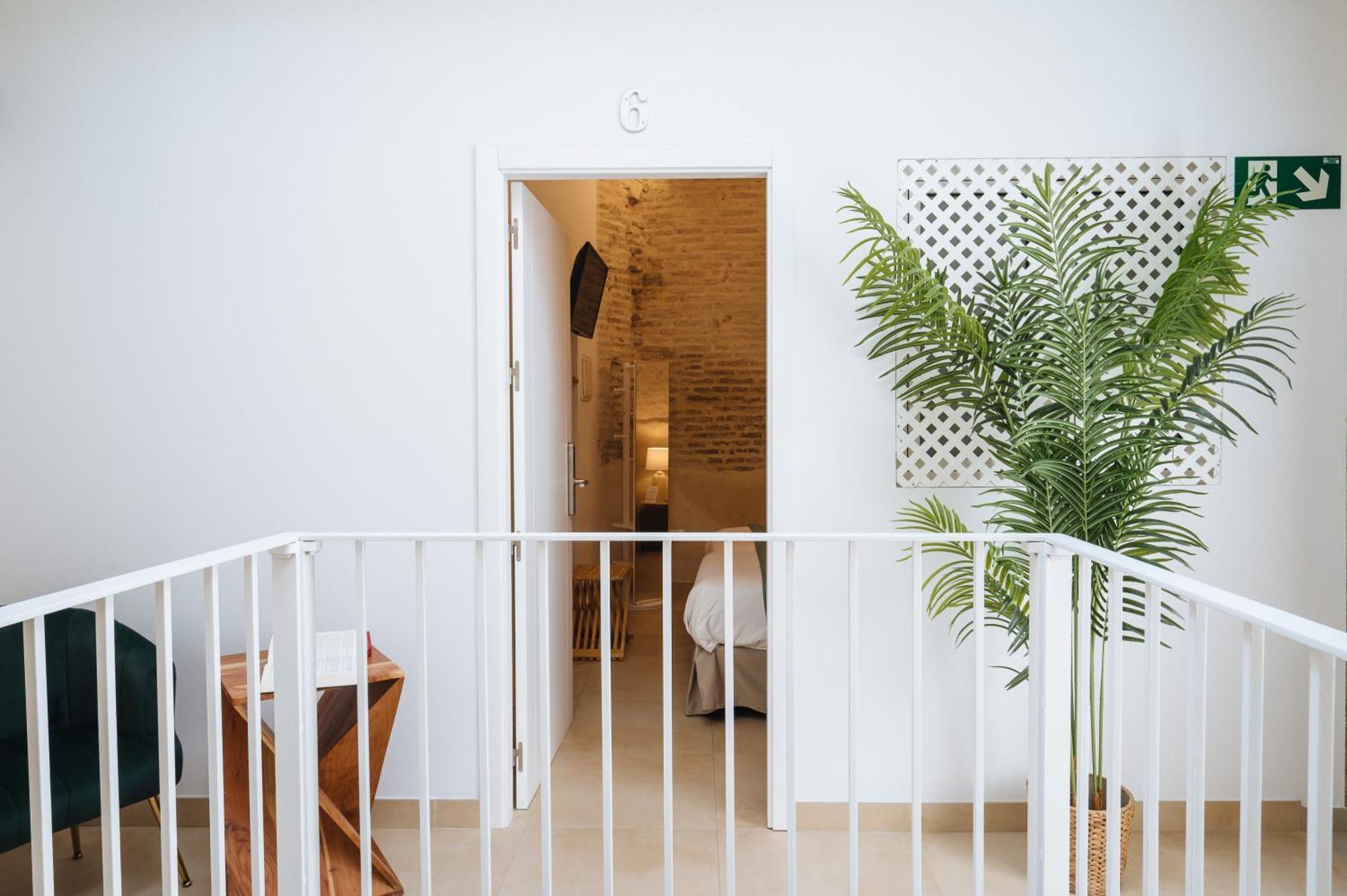 New Hostly Arenal — Photos 3